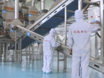 2025年的第一個月，承德亞歐果仁有限公司在山杏產(chǎn)業(yè)的道路上持續(xù)奮進，展現(xiàn)出蓬勃的發(fā)展活力。